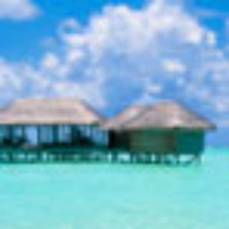 Cafe Gulistan Restaurant